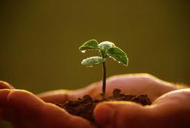 NIỀM TIN CON NGƯỜI VÀ CUỘC SỐNG