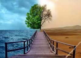  NHÌN VÀO THỰC TẾ CUỘC SỐNG