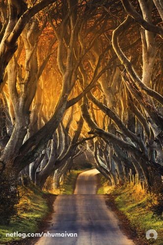 Bài học từ Allen, NGƯỜI QUÉT RÁC