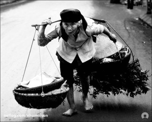 THƯƠNG QUÁ CÁC MẸ GIÀ VIỆT NAM