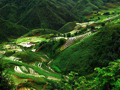 7- NHỮNG NĂNG LỰC CHỮA LÀNH BỆNH.