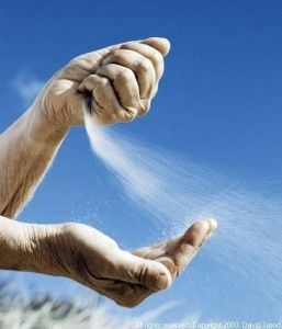 TRỞ VỀ CÁT BỤI...