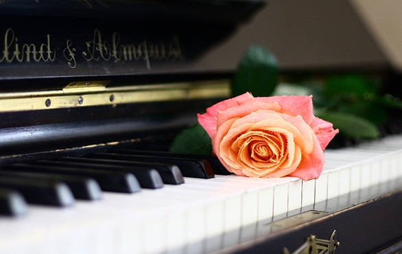 NGỒI TRÊN TÀI NĂNG CỦA MÌNH