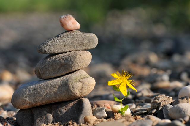 LẼ VÔ THƯỜNG CỦA CUỘC SỐNG